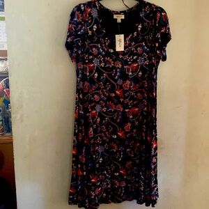 New dress short sleeve nice for the cool weather